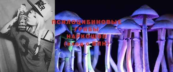 дурь Белоозёрский