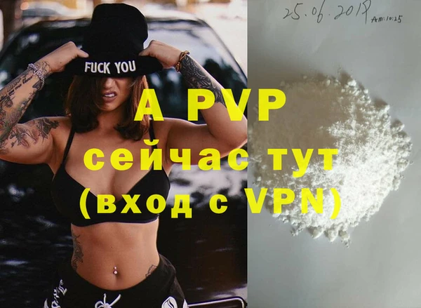 Альфа ПВП Белокуриха