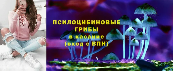 дурь Белоозёрский