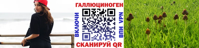 Галлюциногенные грибы мухоморы  Динская 